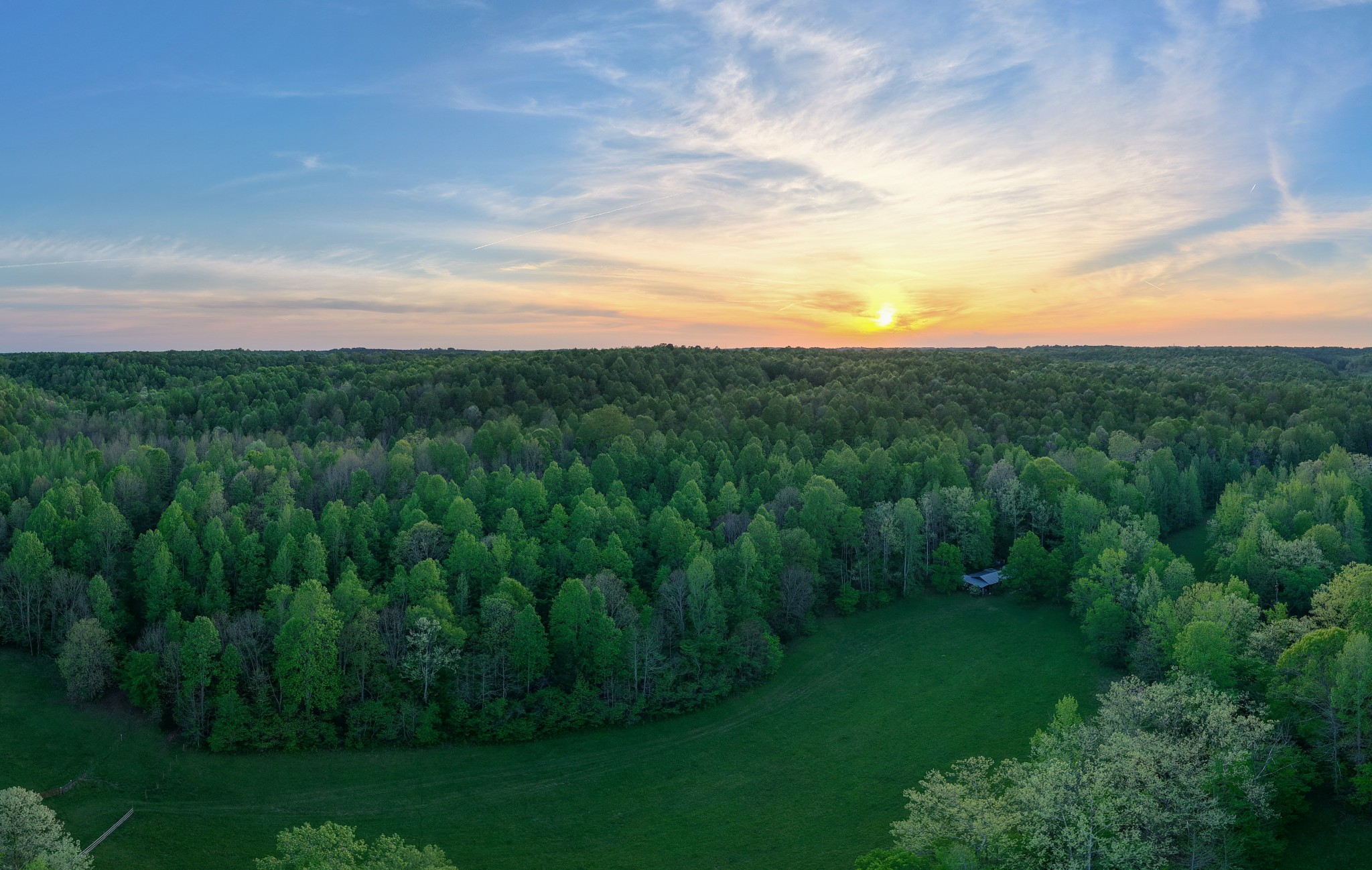 a view of a lush green space with sea