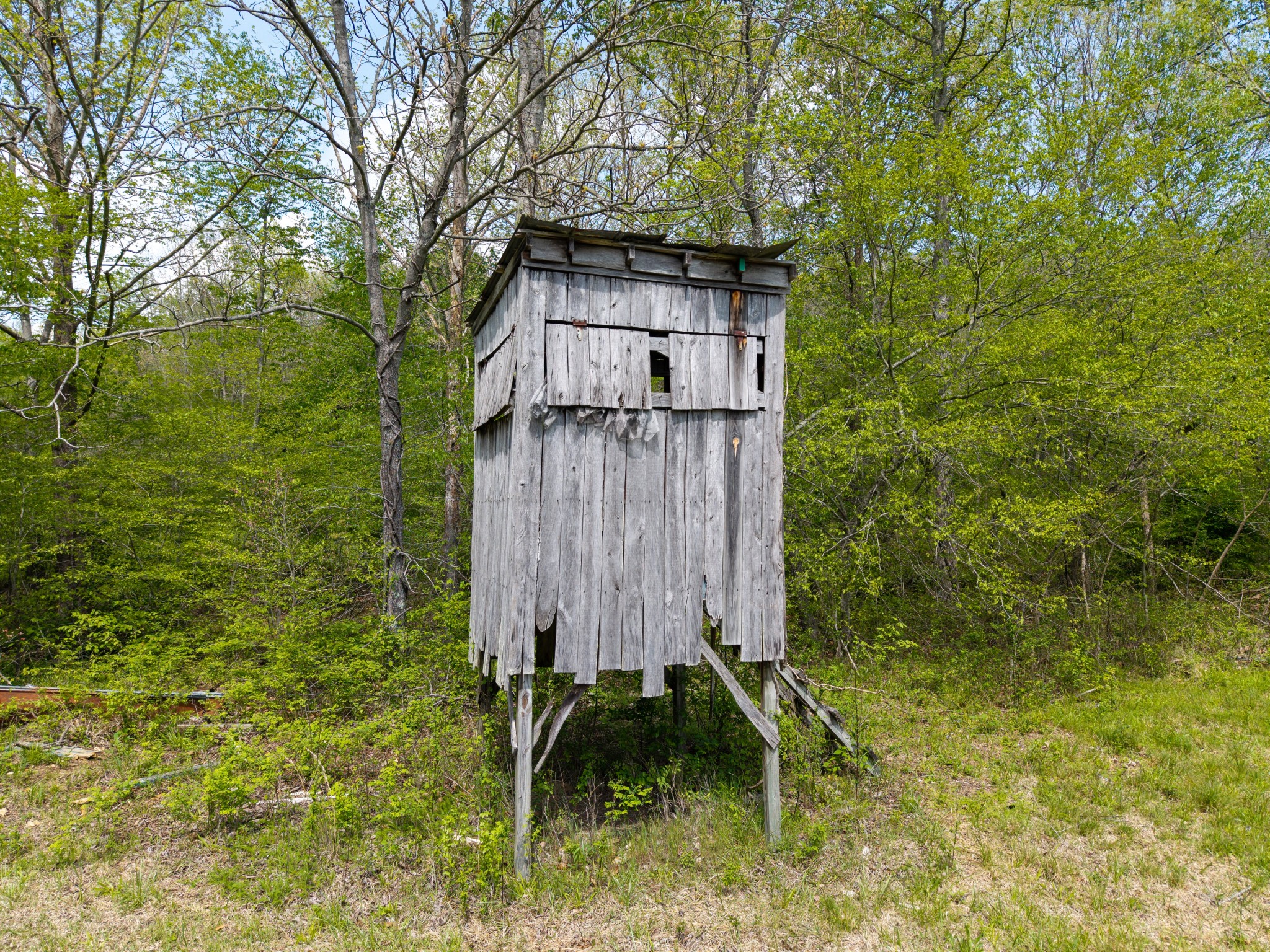 965 Flag Springs Road Lynnville, TN 38472 - Photo 16 of 56 a view of a back yard