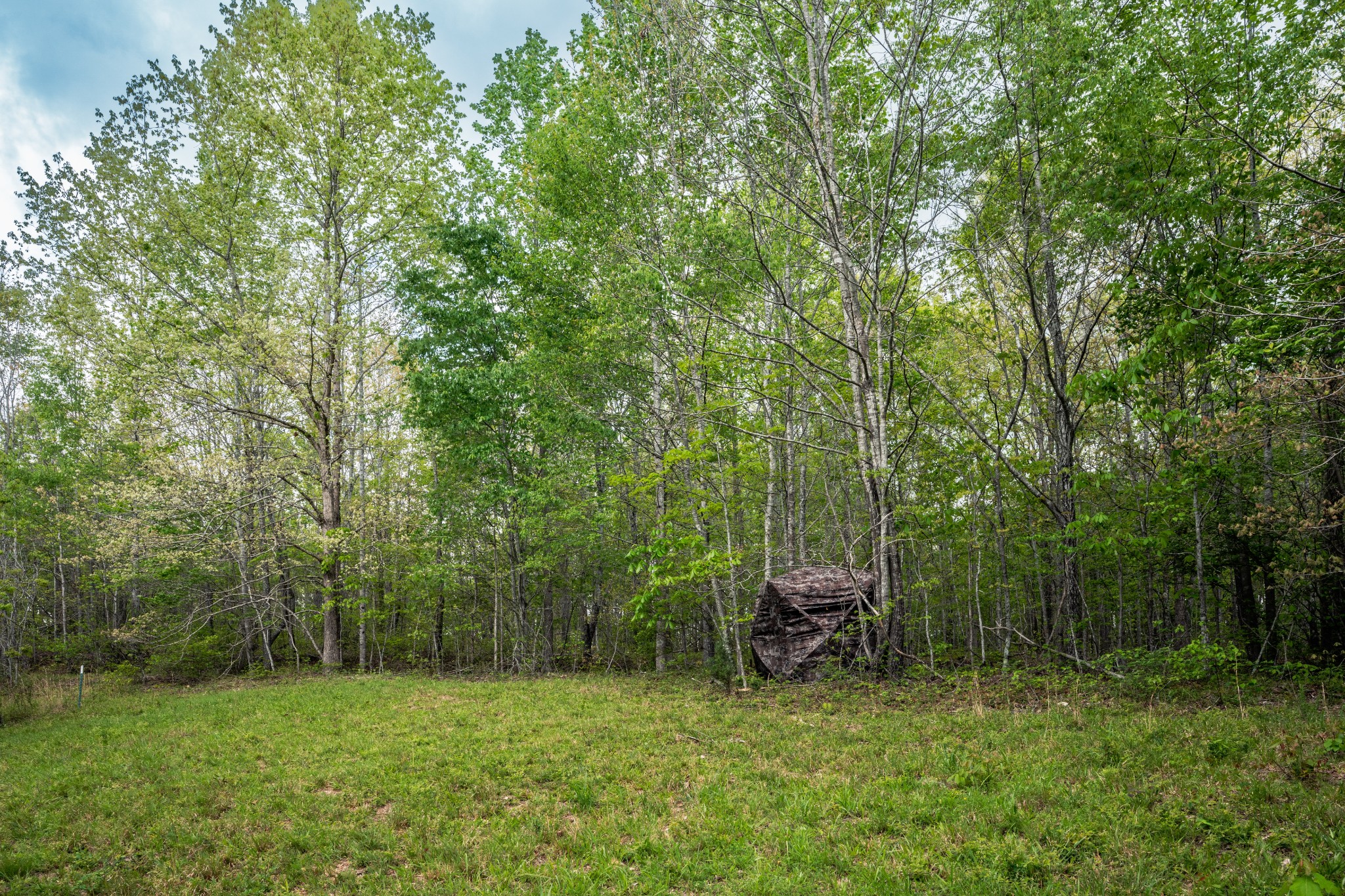 965 Flag Springs Road Lynnville, TN 38472 - Photo 18 of 56 a view of outdoor space with deck and yard