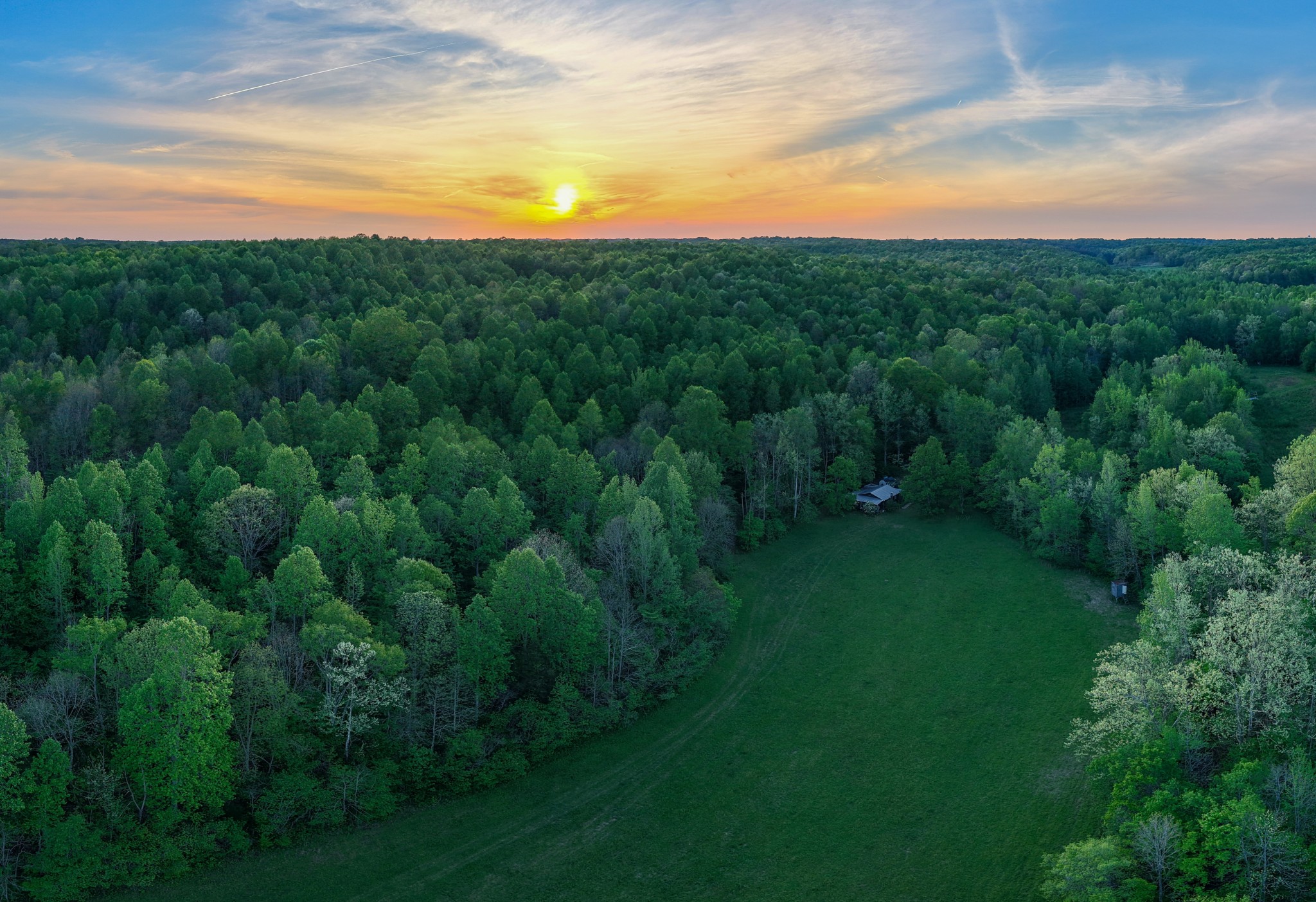 965 Flag Springs Road Lynnville, TN 38472 - Photo 2 of 56