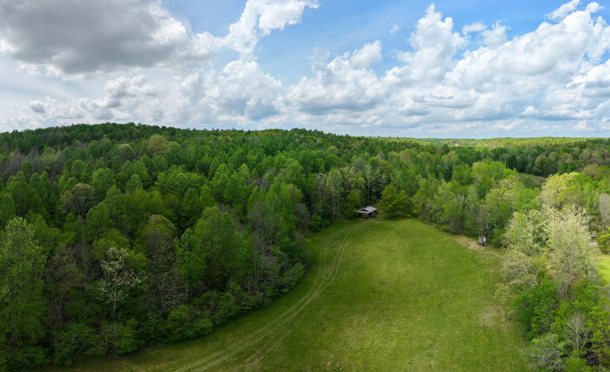 965 Flag Springs Road Lynnville, TN 38472 - Photo 24 of 56 a view of a big yard