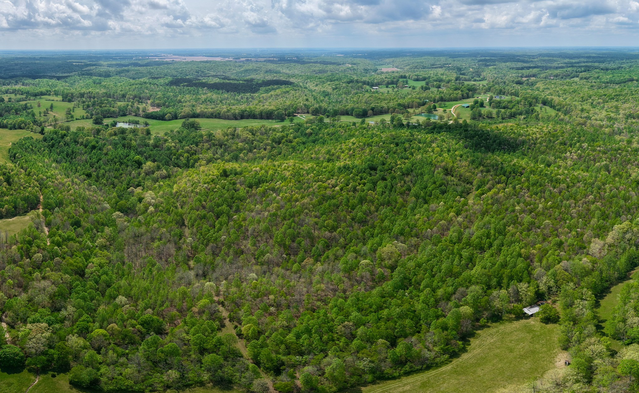 965 Flag Springs Road Lynnville, TN 38472 - Photo 3 of 56 a view of a big yard with plants and large trees