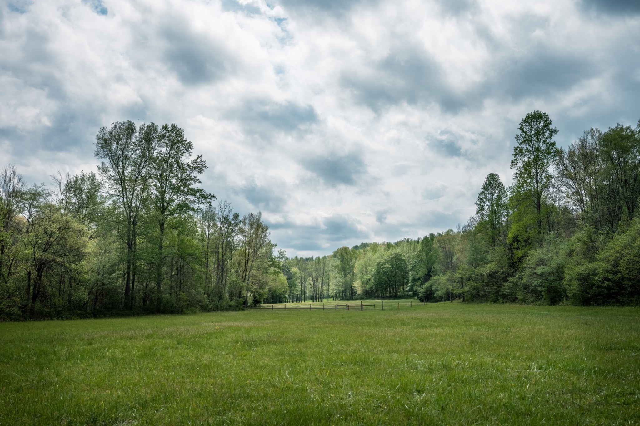 965 Flag Springs Road Lynnville, TN 38472 - Photo 33 of 56 a view of grassy field with trees in the background