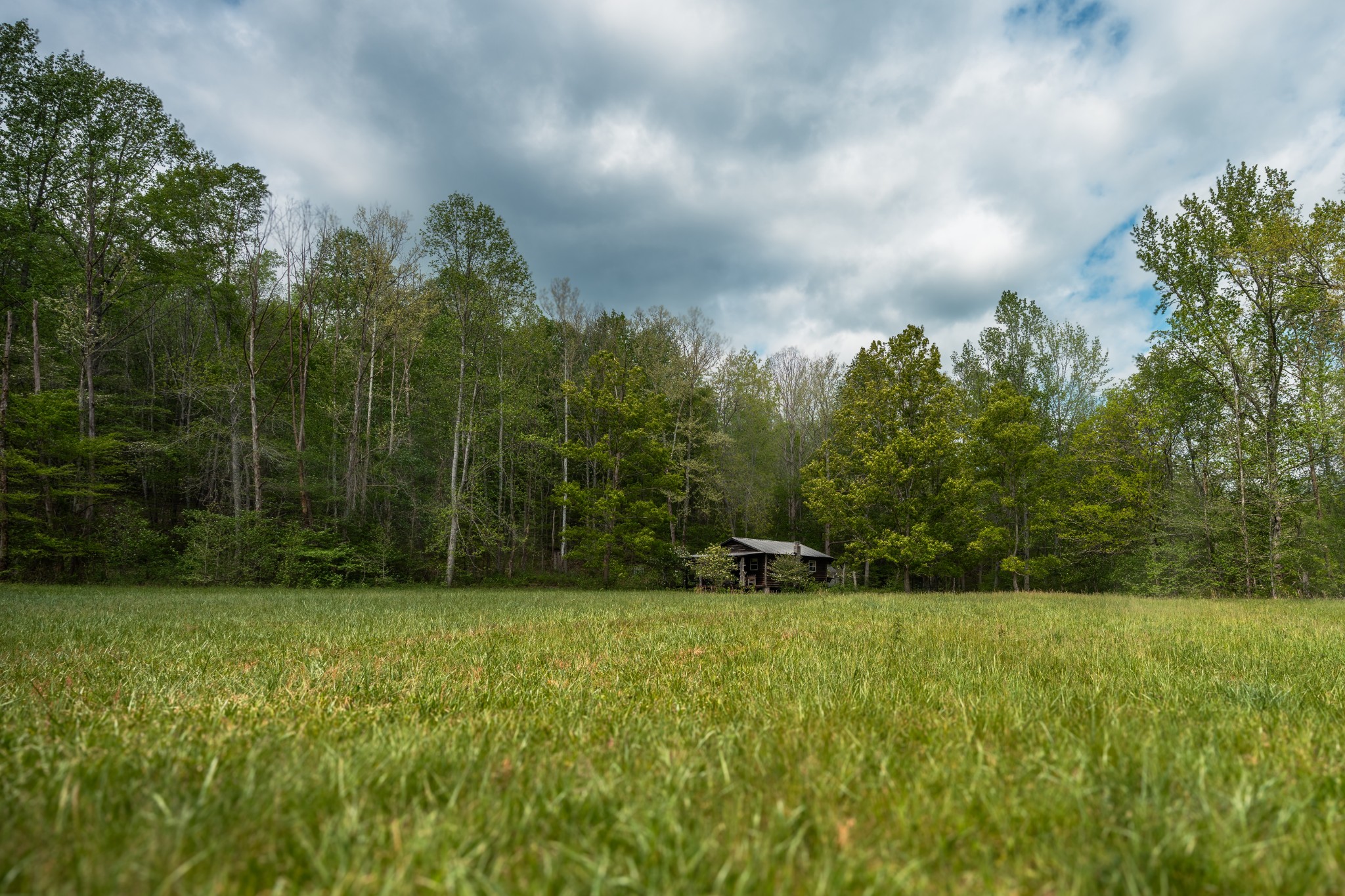 965 Flag Springs Road Lynnville, TN 38472 - Photo 39 of 56 a view of outdoor space and yard
