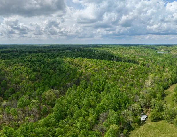 a view of a big yard with lots of green space