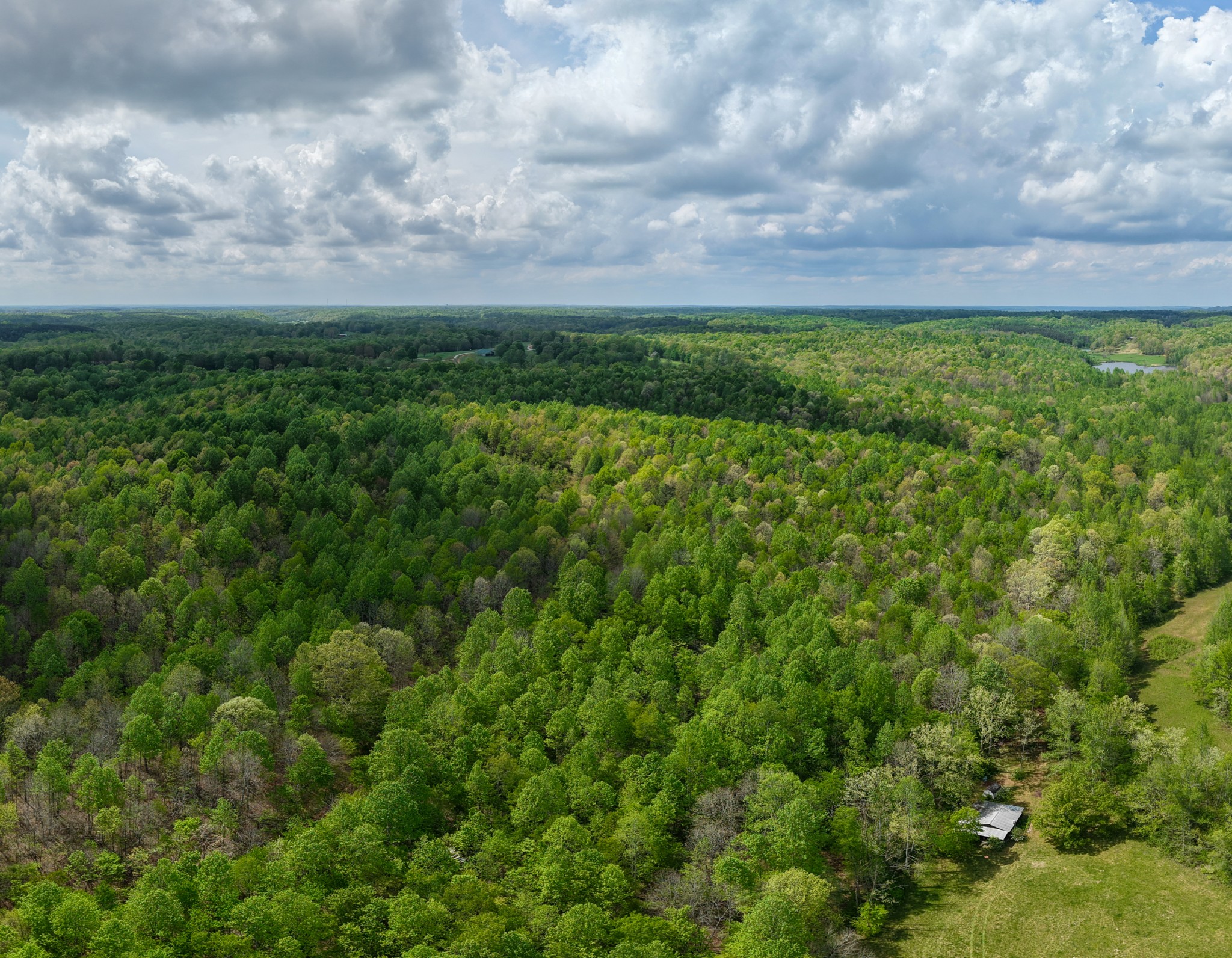 965 Flag Springs Road Lynnville, TN 38472 - Photo 5 of 56