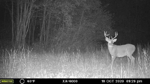 $549,000 | 965 Flag Springs Road, Lynnville, TN 38472