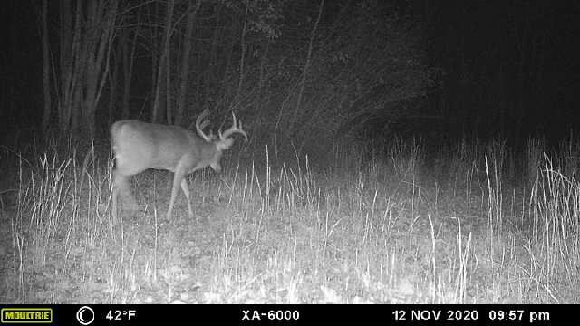 965 Flag Springs Road Lynnville, TN 38472 - Photo 53 of 56 a view of a room with a wooden wall
