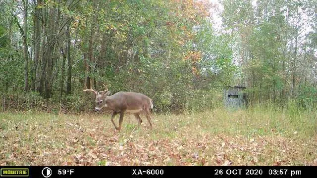 $549,000 | 965 Flag Springs Road, Lynnville, TN 38472