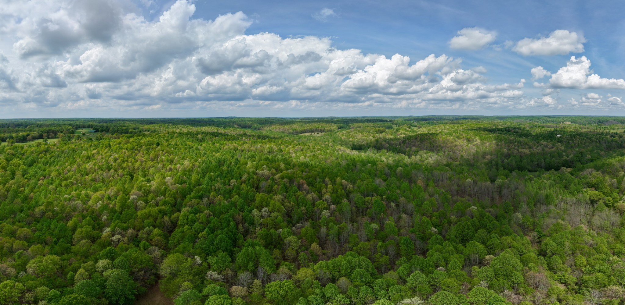 965 Flag Springs Road Lynnville, TN 38472 - Photo 6 of 56 a view of an outdoor space and a yard