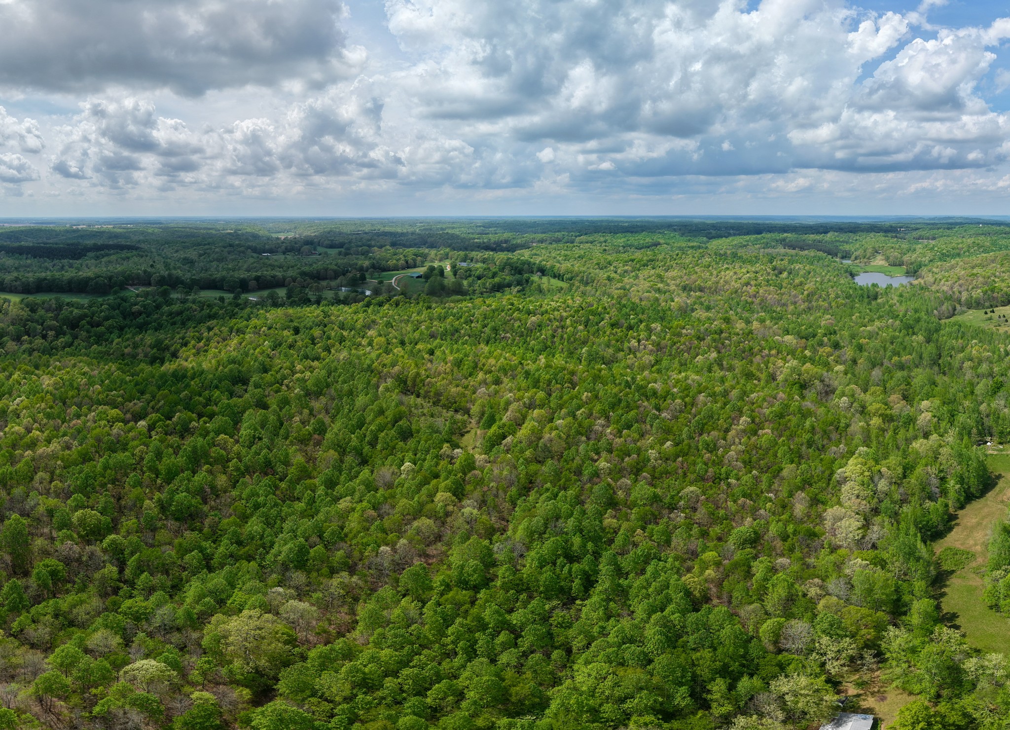965 Flag Springs Road Lynnville, TN 38472 - Photo 8 of 56 a view of outdoor space and yard