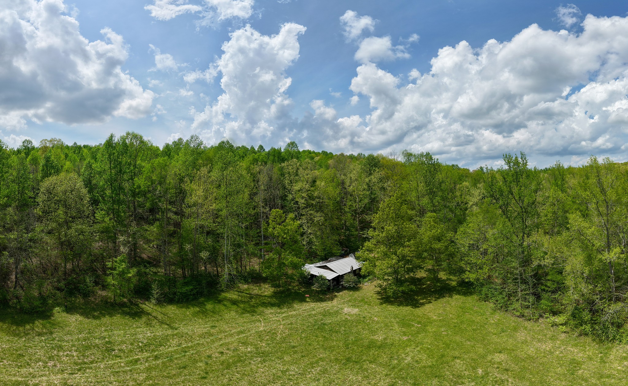 965 Flag Springs Road Lynnville, TN 38472 - Photo 9 of 56