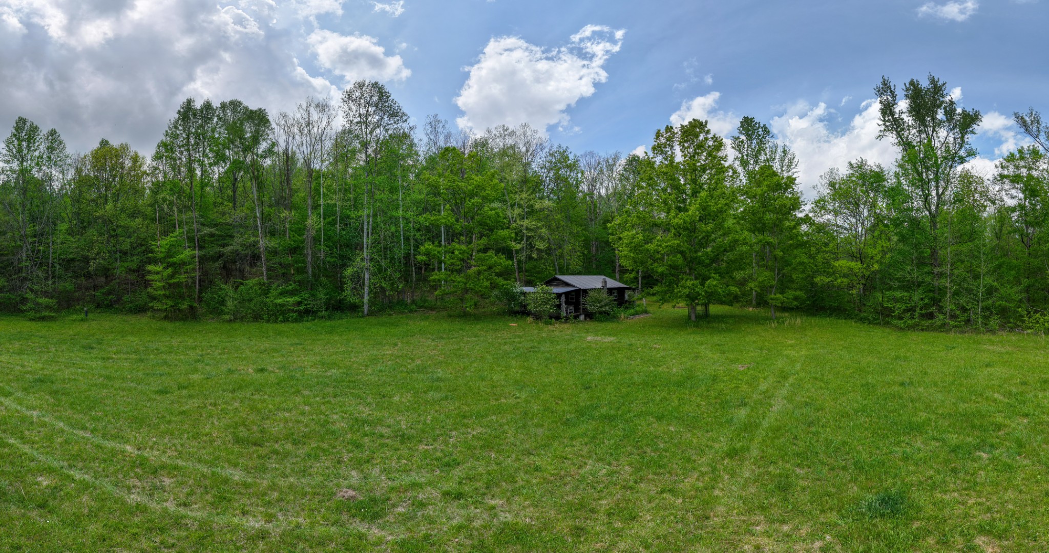 965 Flag Springs Road Lynnville, TN 38472 - Photo 10 of 56 a view of a yard with a fountain