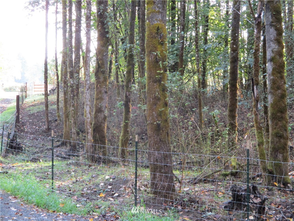 295 Collins Road Toledo, WA 98591 - Photo 15 of 20