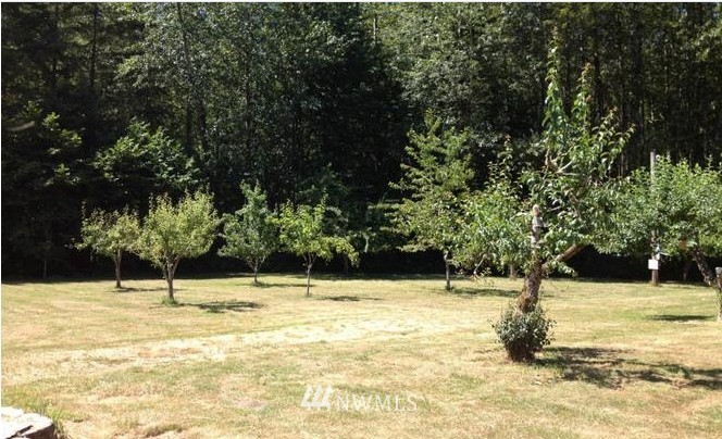 295 Collins Road Toledo, WA 98591 - Photo 8 of 20