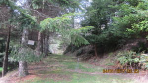 37430 Upper Nestucca Road Beaver, OR 97108 - Photo 8 of 20 Going up into the Timber
