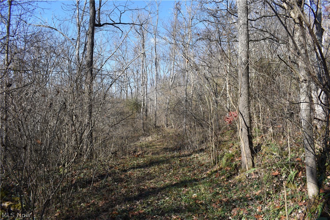 260 Rear State Route Lower Salem, OH 45745 - Photo 25 of 32 Gallery Image 25