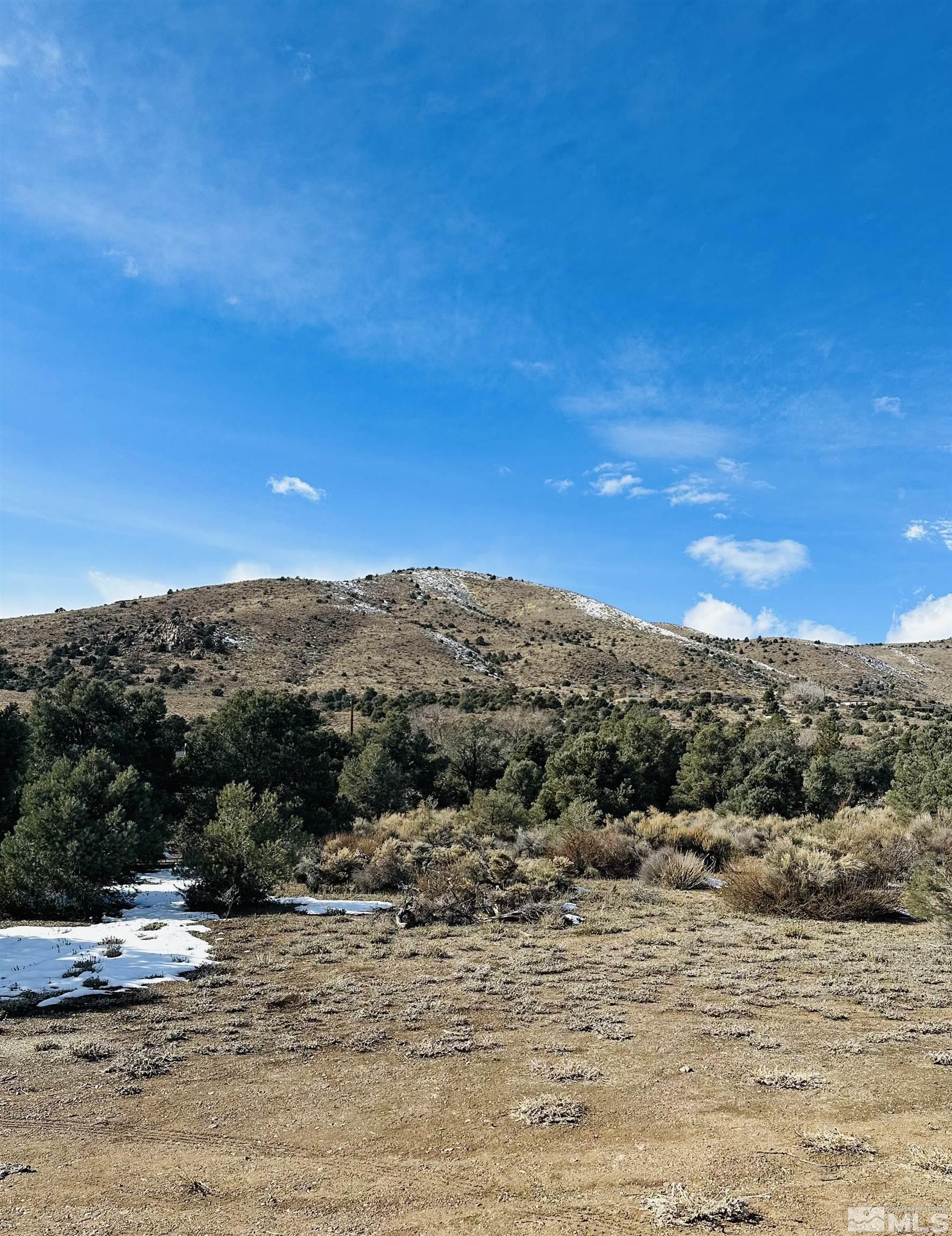 3620 Boulder Road Wellington, NV 89444 - Photo 4 of 21 Photo 4
