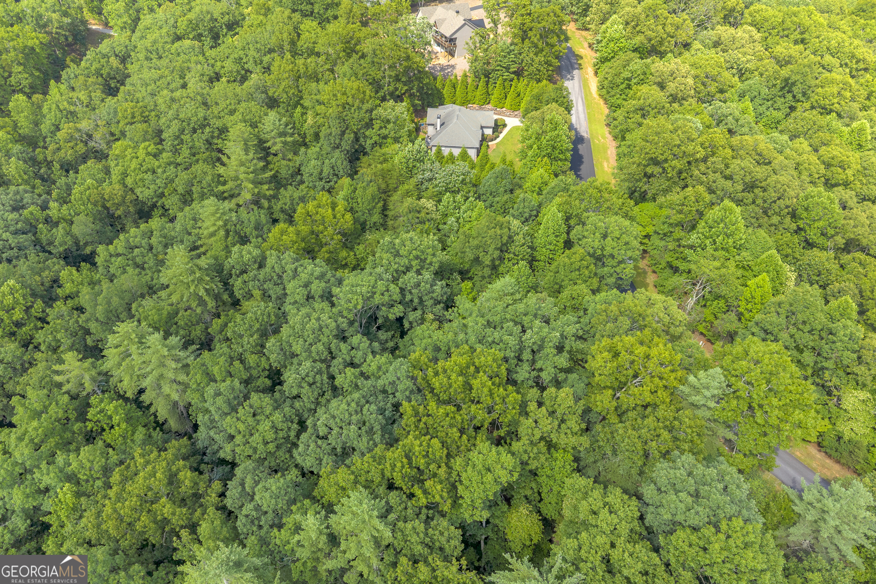 25 Forked Leaf Road Cleveland, GA 30528 - Photo 16 of 48