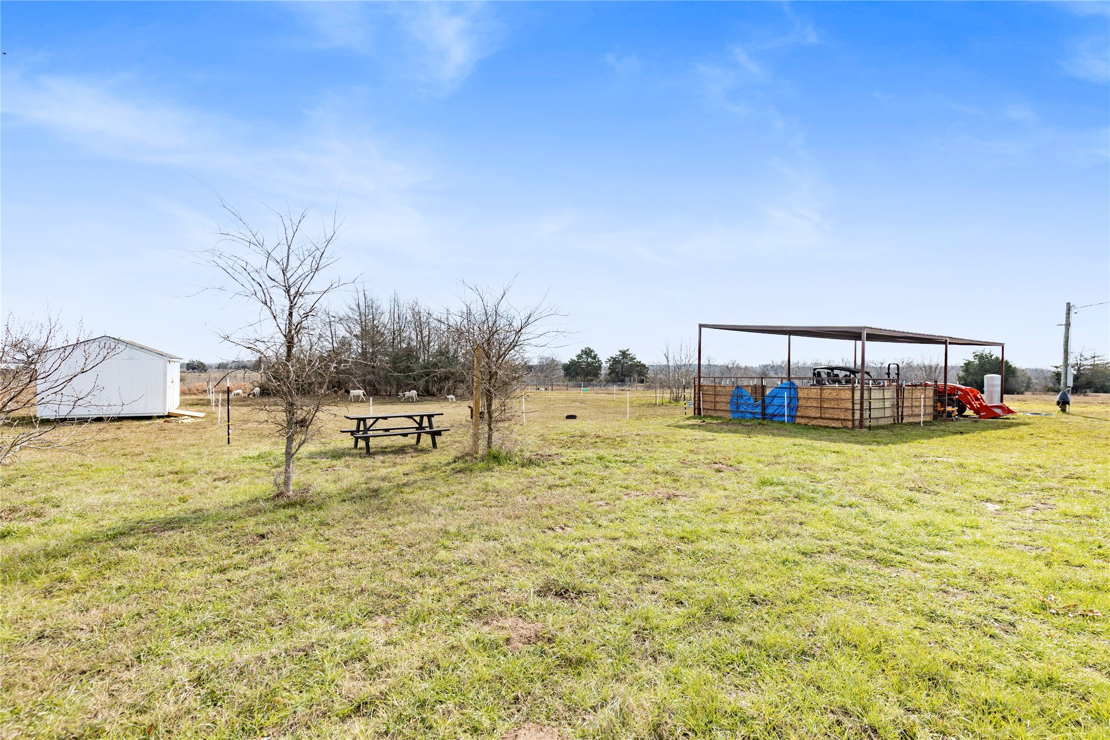 3484 Hackett Branch Road Midway, TX 75852 - Photo 6 of 13 a swimming pool with yard and mountain view