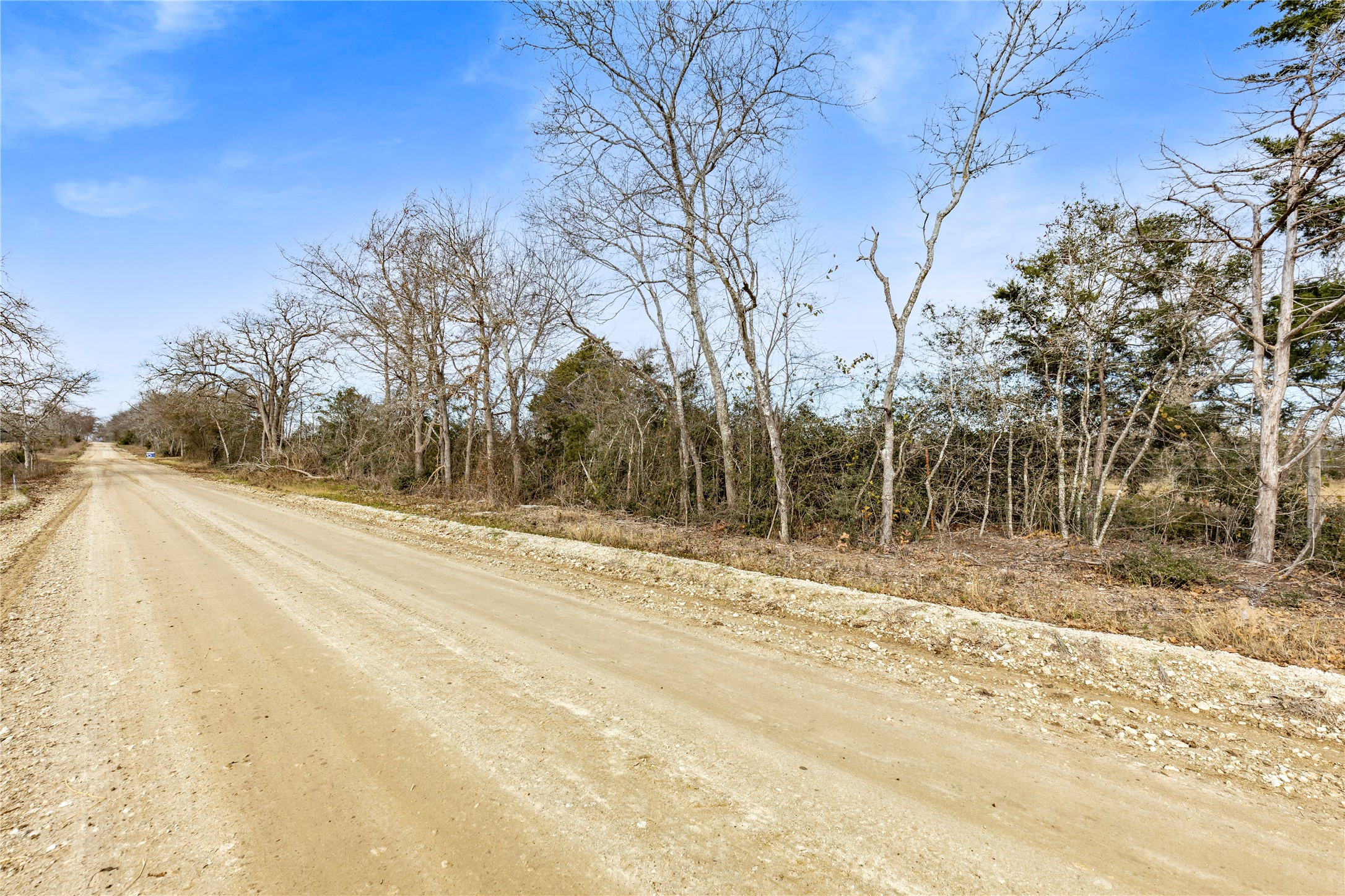 3484 Hackett Branch Road Midway, TX 75852 - Photo 8 of 13 a view of a yard with snow on the road