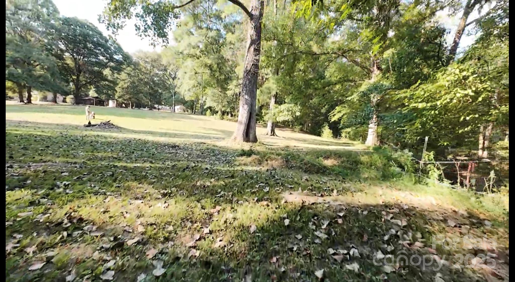 3943 Walker Road Rock Hill, SC 29730 - Photo 11 of 14 a view of yard with tree