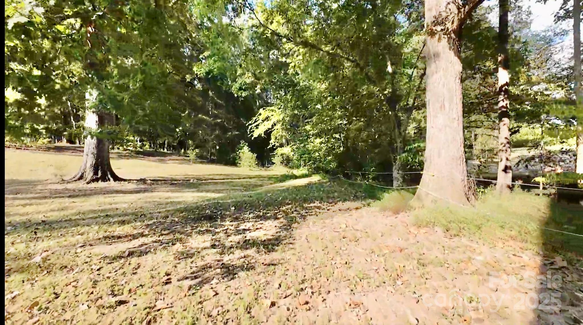 3943 Walker Road Rock Hill, SC 29730 - Photo 12 of 14 a view of a yard with trees