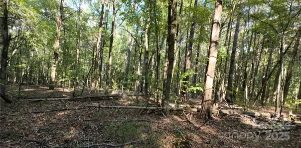 a view of yard covered with snow