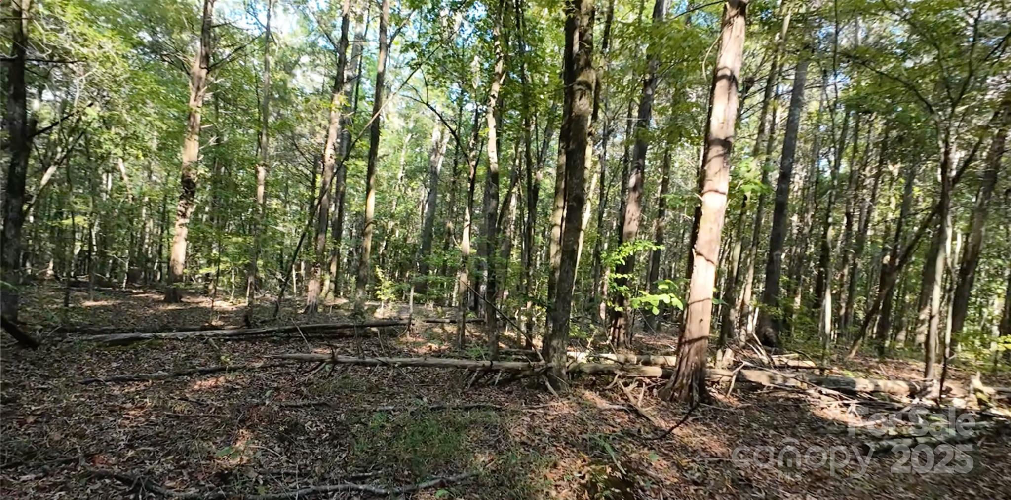 3943 Walker Road Rock Hill, SC 29730 - Photo 6 of 14 a view of outdoor space and yard