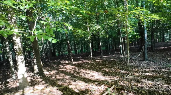 a view of a yard with trees