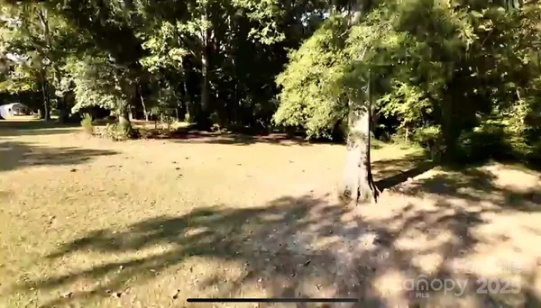 a view of a yard with a tree