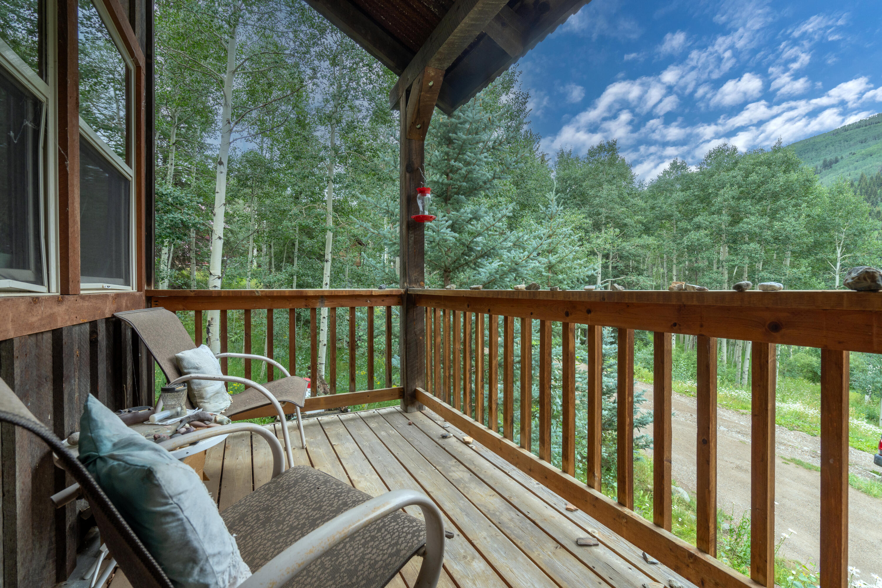 456 Silverglance Way Rico, CO 81332 - Photo 13 of 15 West Patio 1