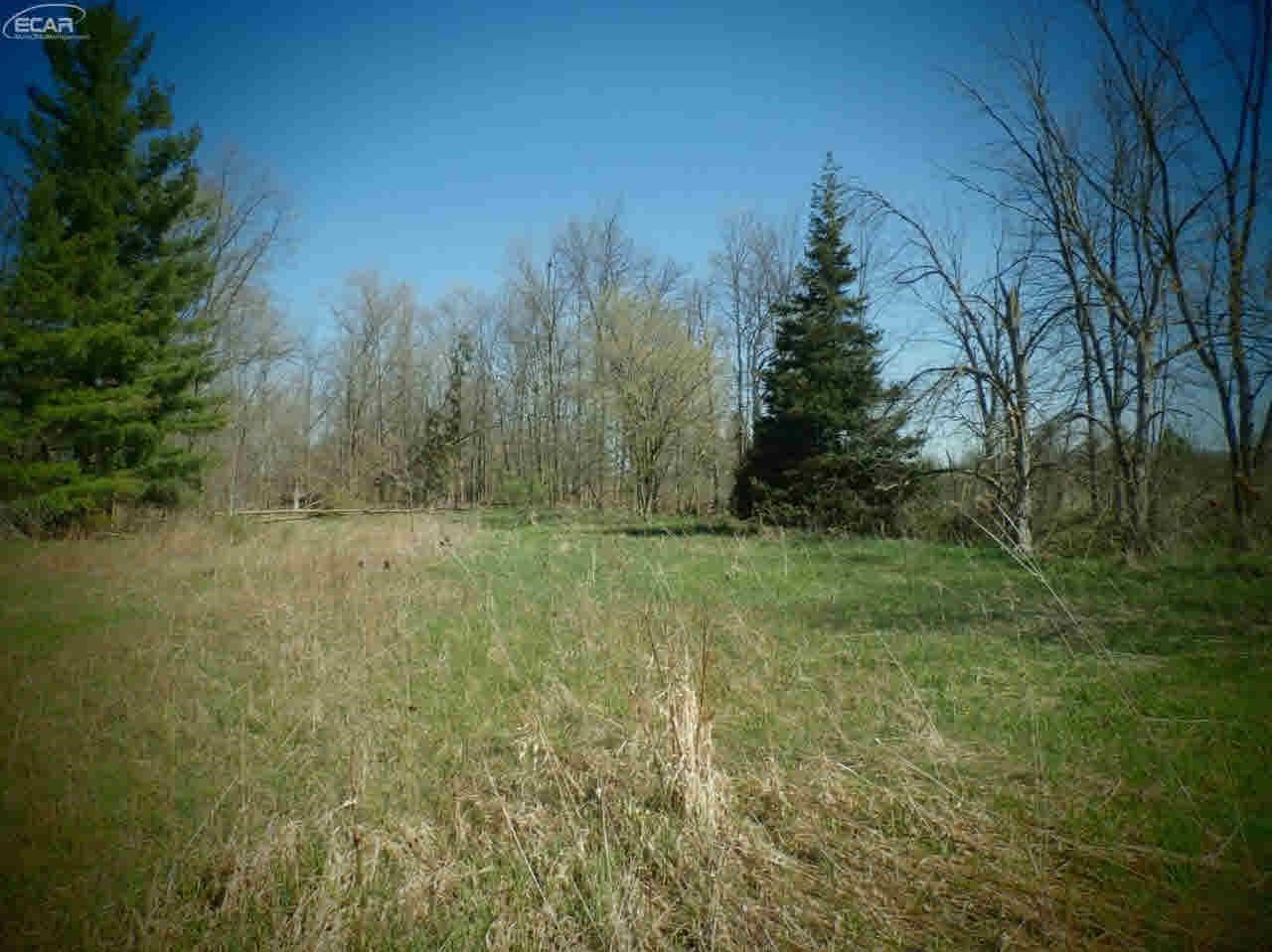 11278 Cook Road Gaines, MI 48436 - Photo 18 of 38