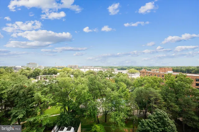 a view of a bunch of trees