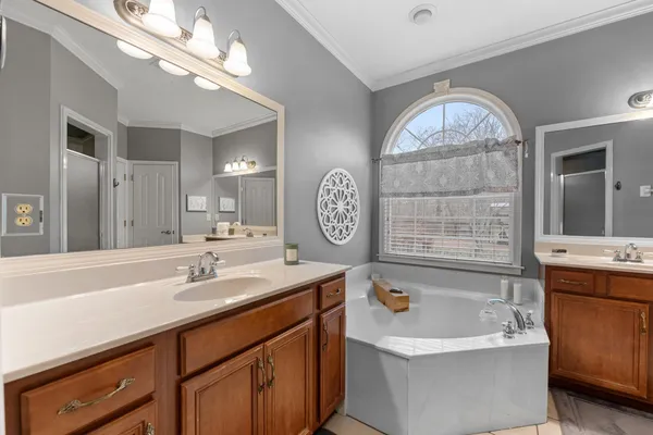 a bathroom with a sink a large mirror and a bathtub with a vanity