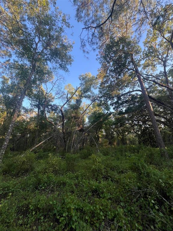 Pinon Drive Webster, FL 33597 - Photo 3 of 4 a view of a building