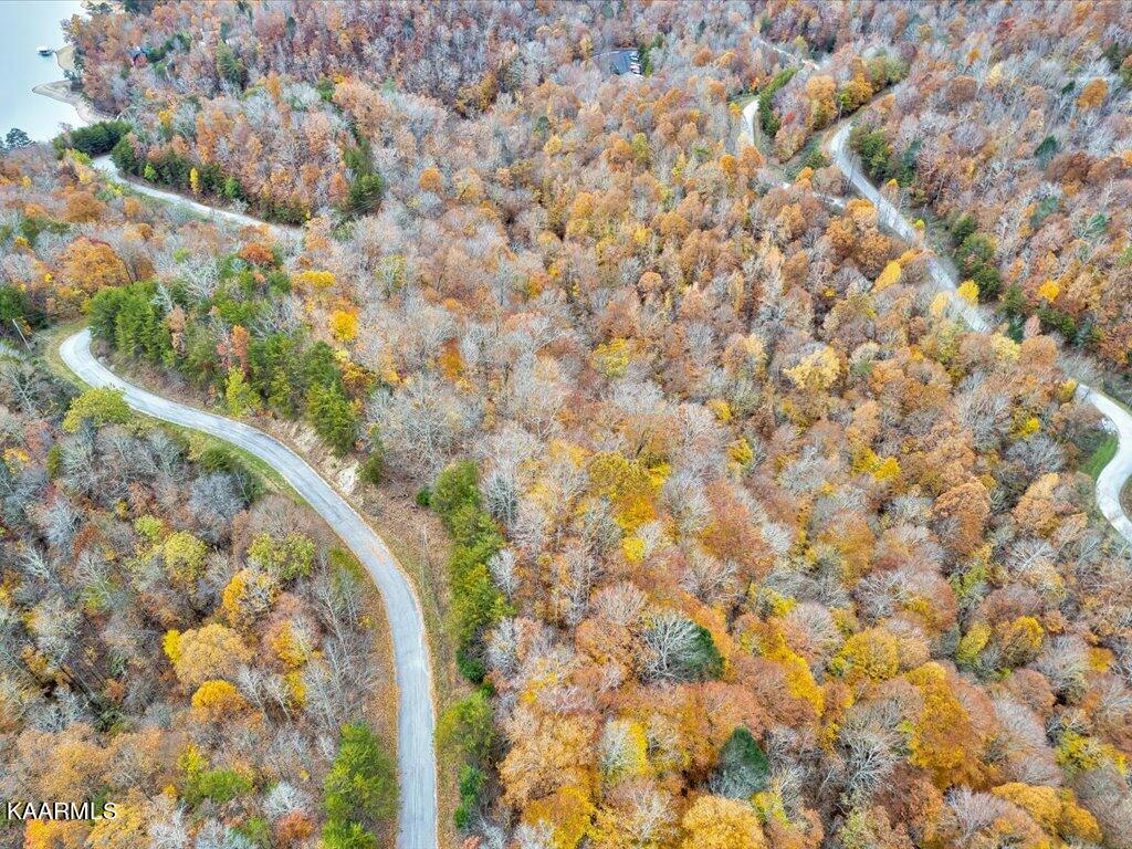 Lot 92 Ridgecrest Road New Tazewell, TN 37825 - Photo 2 of 21 2