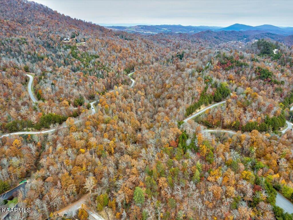 Lot 92 Ridgecrest Road New Tazewell, TN 37825 - Photo 13 of 21 13
