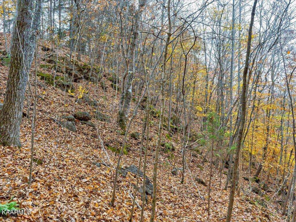 Lot 92 Ridgecrest Road New Tazewell, TN 37825 - Photo 19 of 21 19