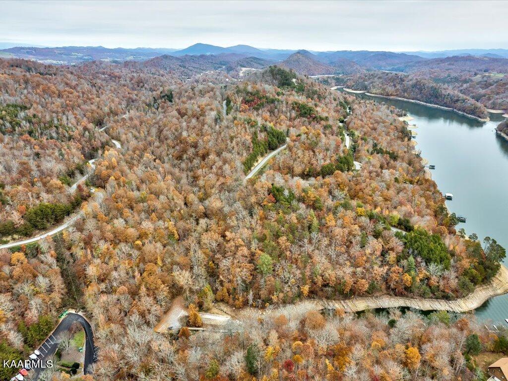Lot 92 Ridgecrest Road New Tazewell, TN 37825 - Photo 4 of 21 4