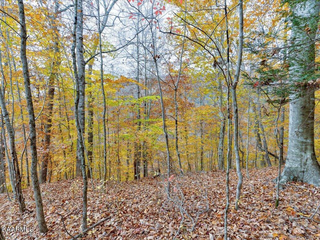 Lot 92 Ridgecrest Road New Tazewell, TN 37825 - Photo 7 of 21 7