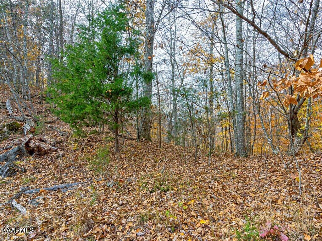 Lot 92 Ridgecrest Road New Tazewell, TN 37825 - Photo 10 of 21 10