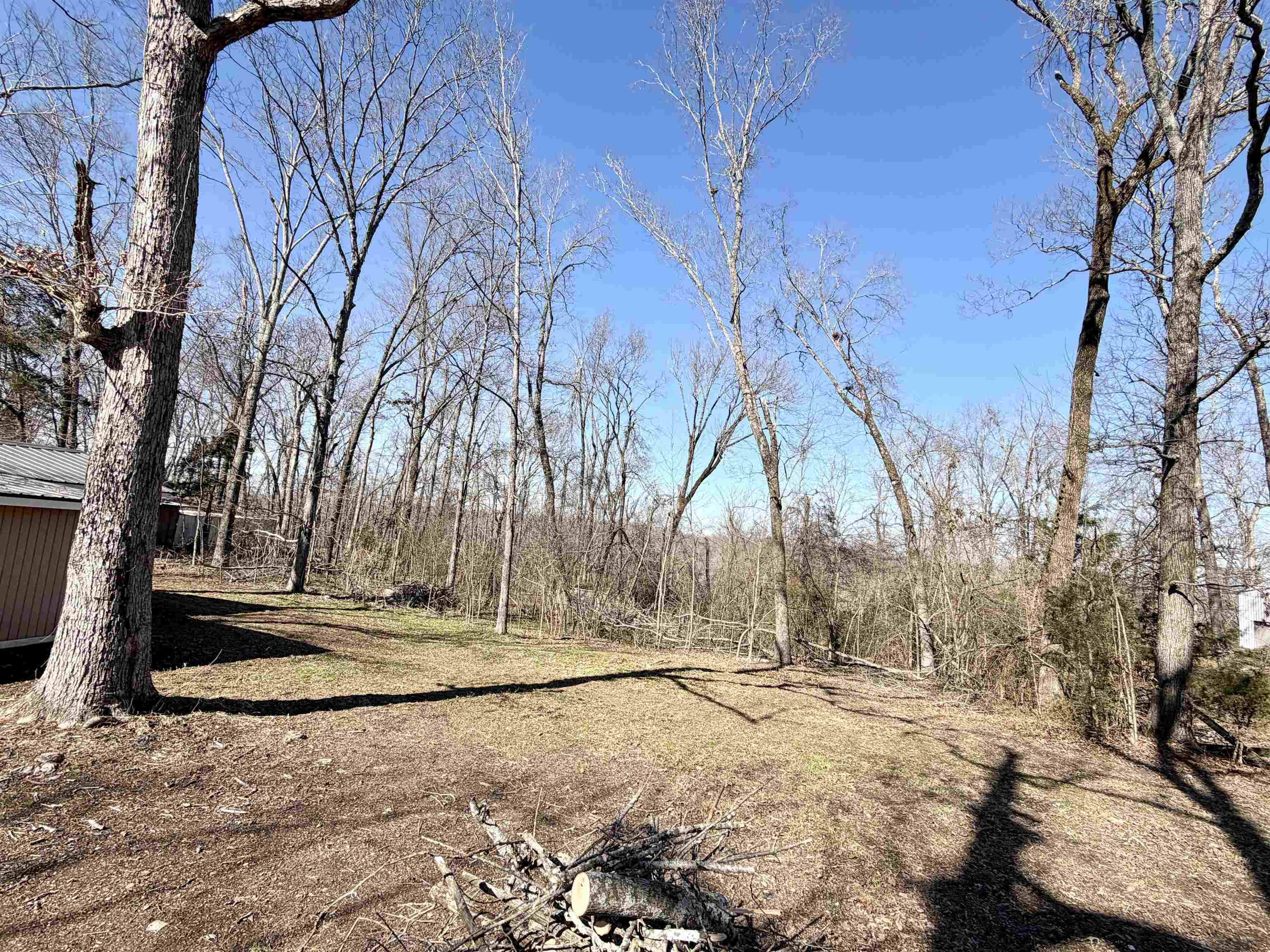 345 Shad Lane Adamsville, TN 38310 - Photo 19 of 20 View of yard
