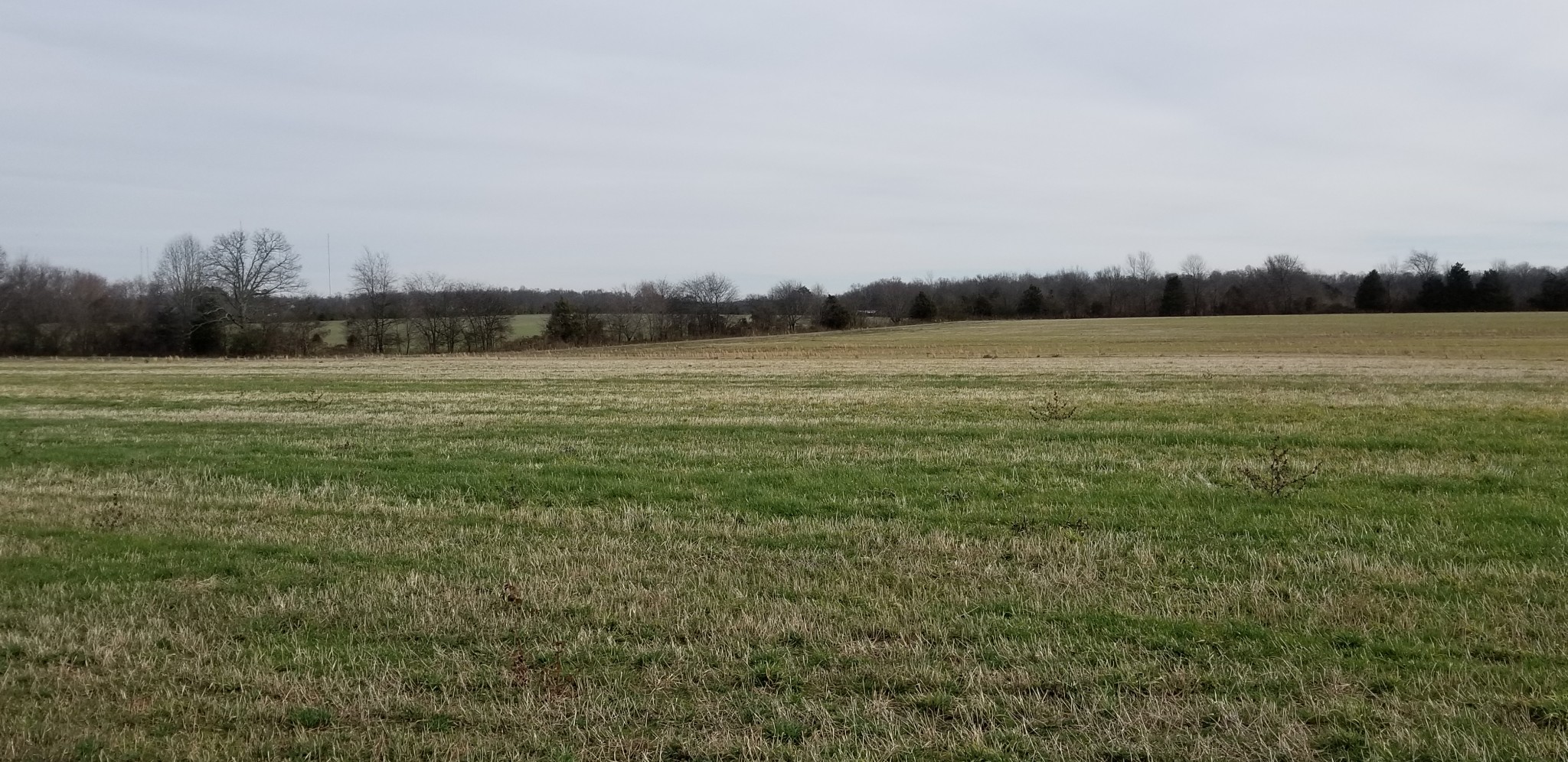 1480 Goforth Road Morrison, TN 37357 - Photo 1 of 15