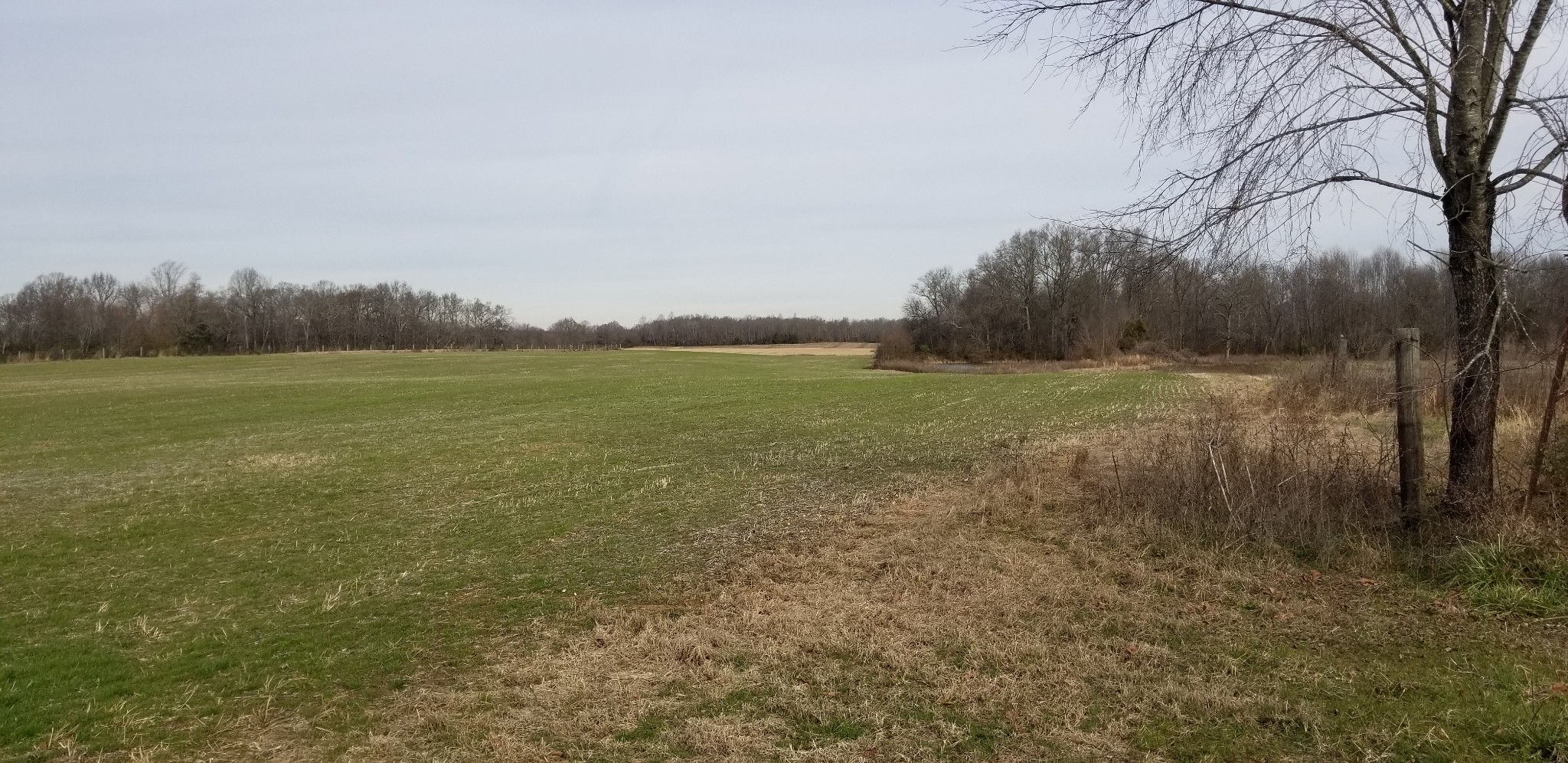 1480 Goforth Road Morrison, TN 37357 - Photo 2 of 15