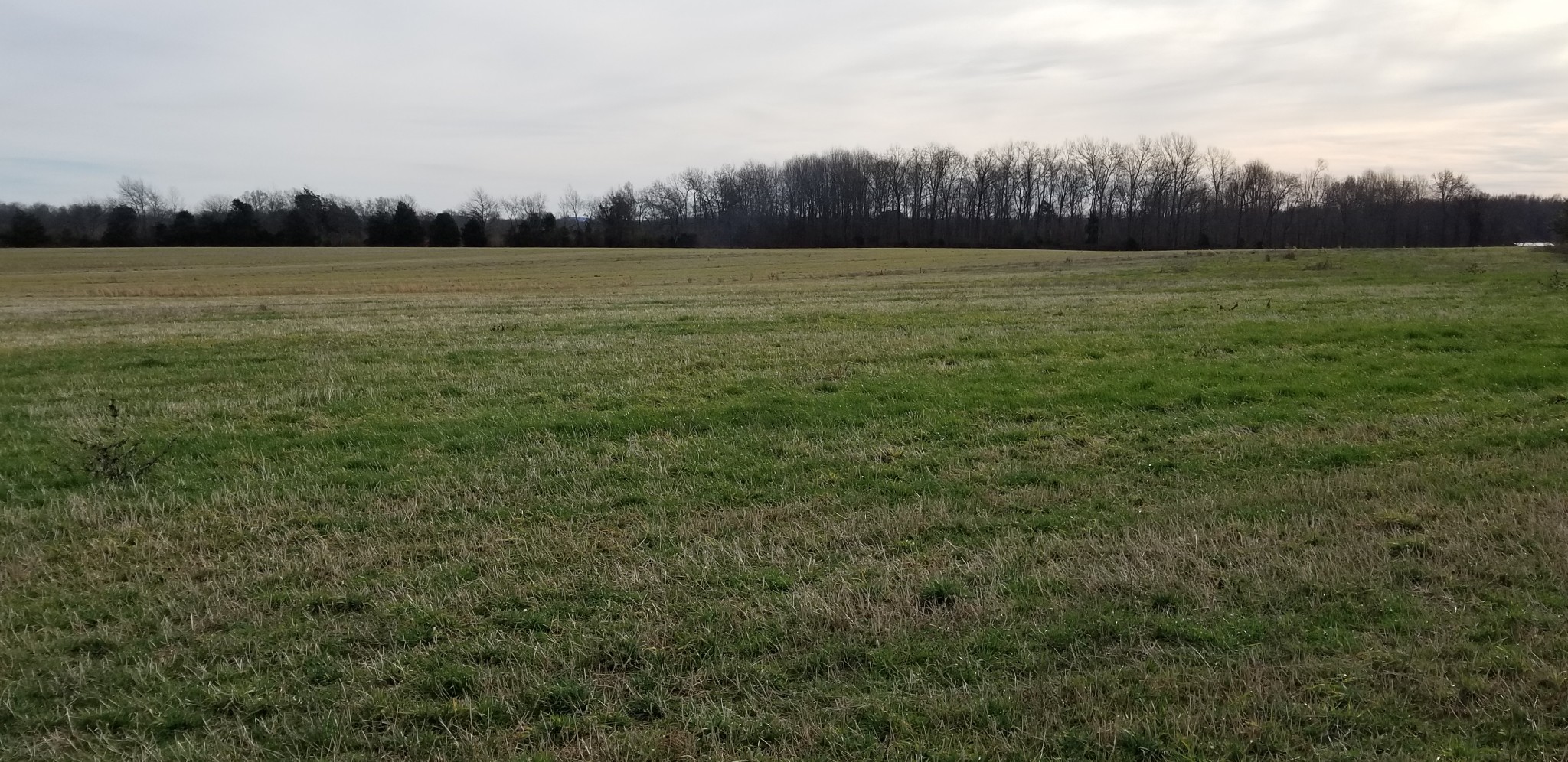 1480 Goforth Road Morrison, TN 37357 - Photo 13 of 15