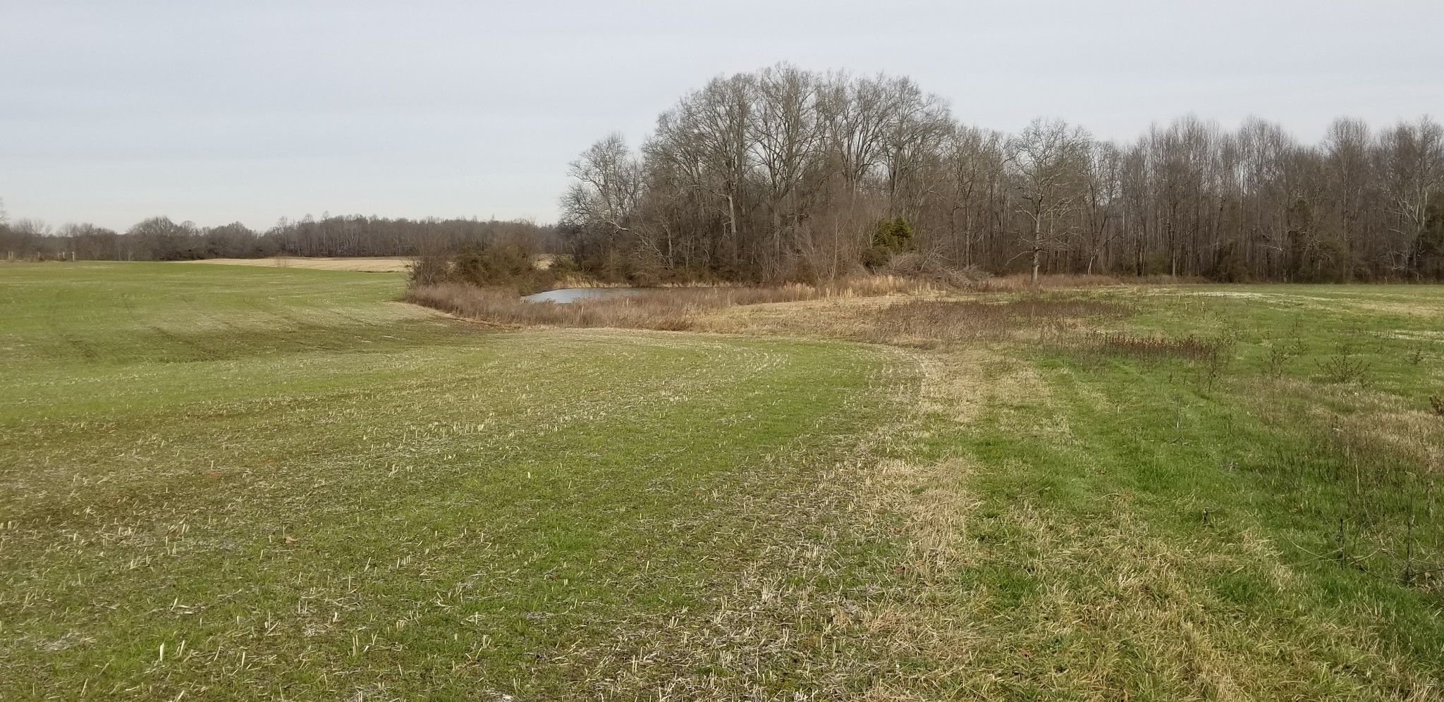 1480 Goforth Road Morrison, TN 37357 - Photo 14 of 15