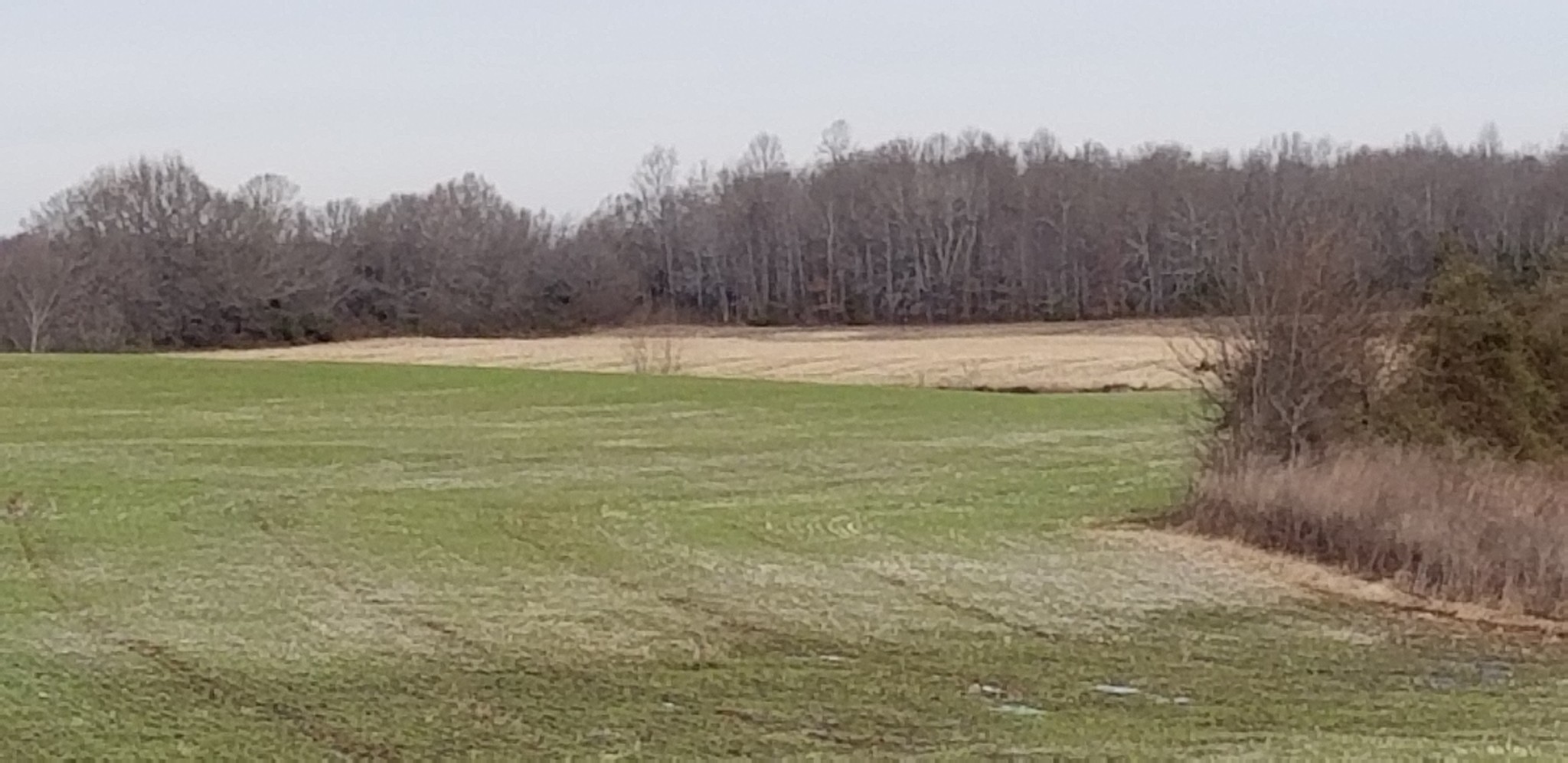 1480 Goforth Road Morrison, TN 37357 - Photo 15 of 15