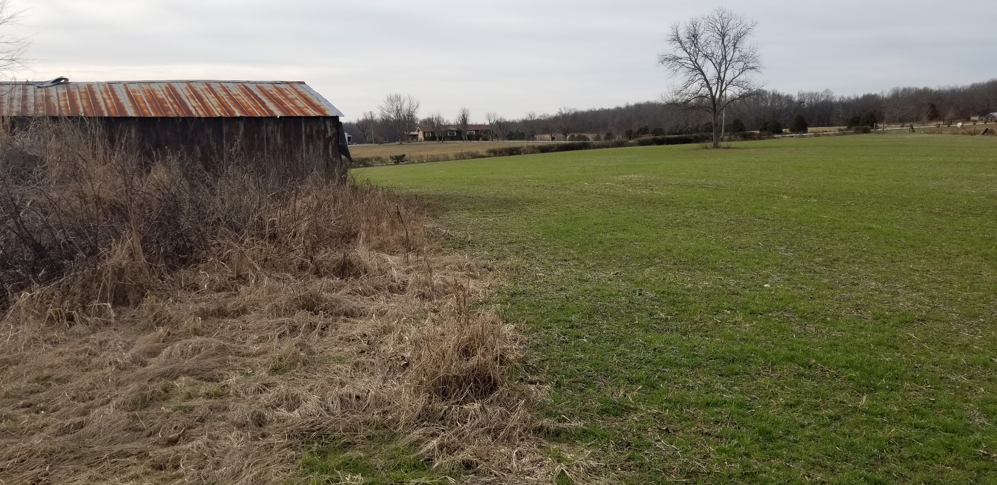 1480 Goforth Road Morrison, TN 37357 - Photo 4 of 15