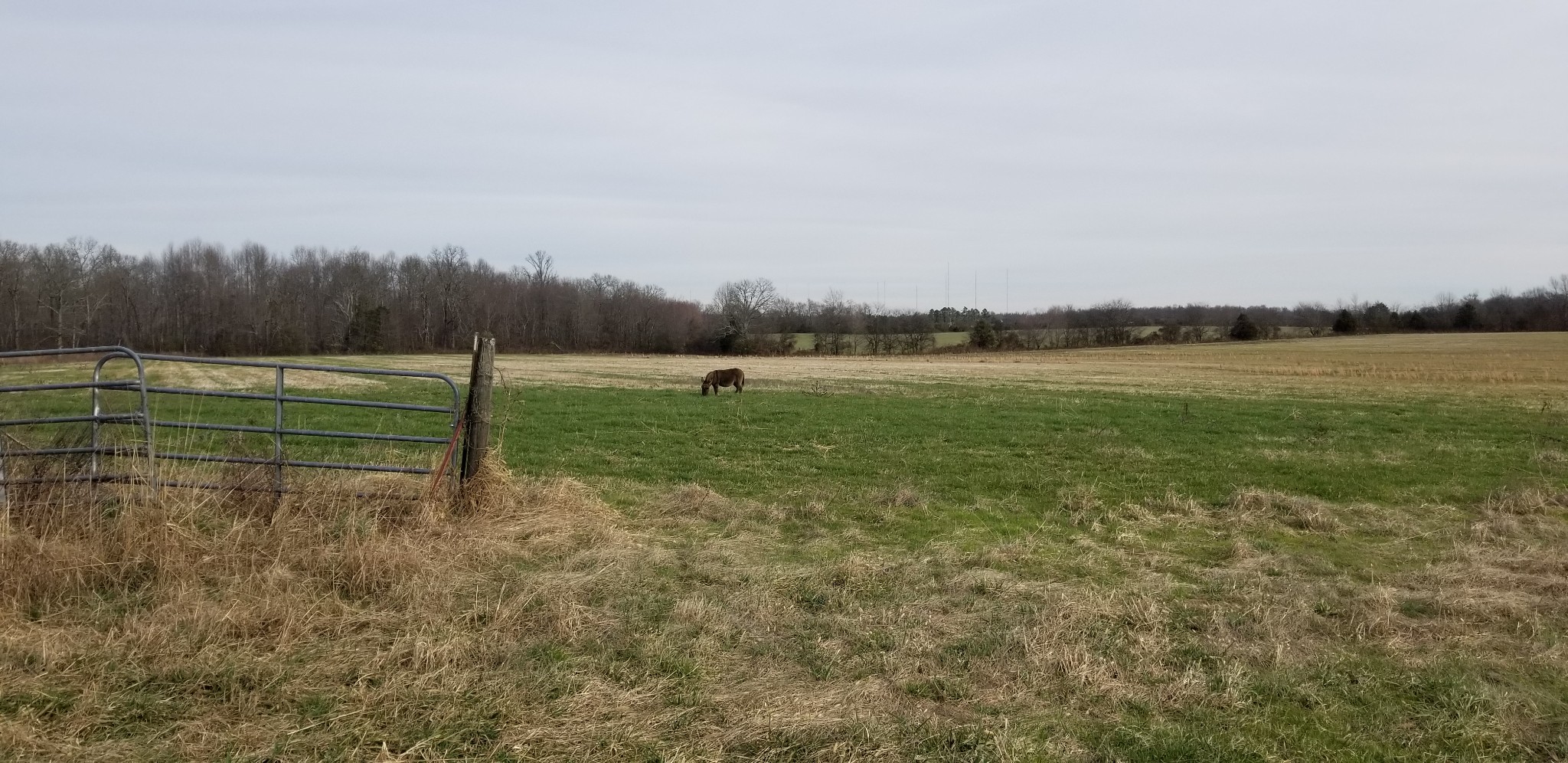 1480 Goforth Road Morrison, TN 37357 - Photo 6 of 15